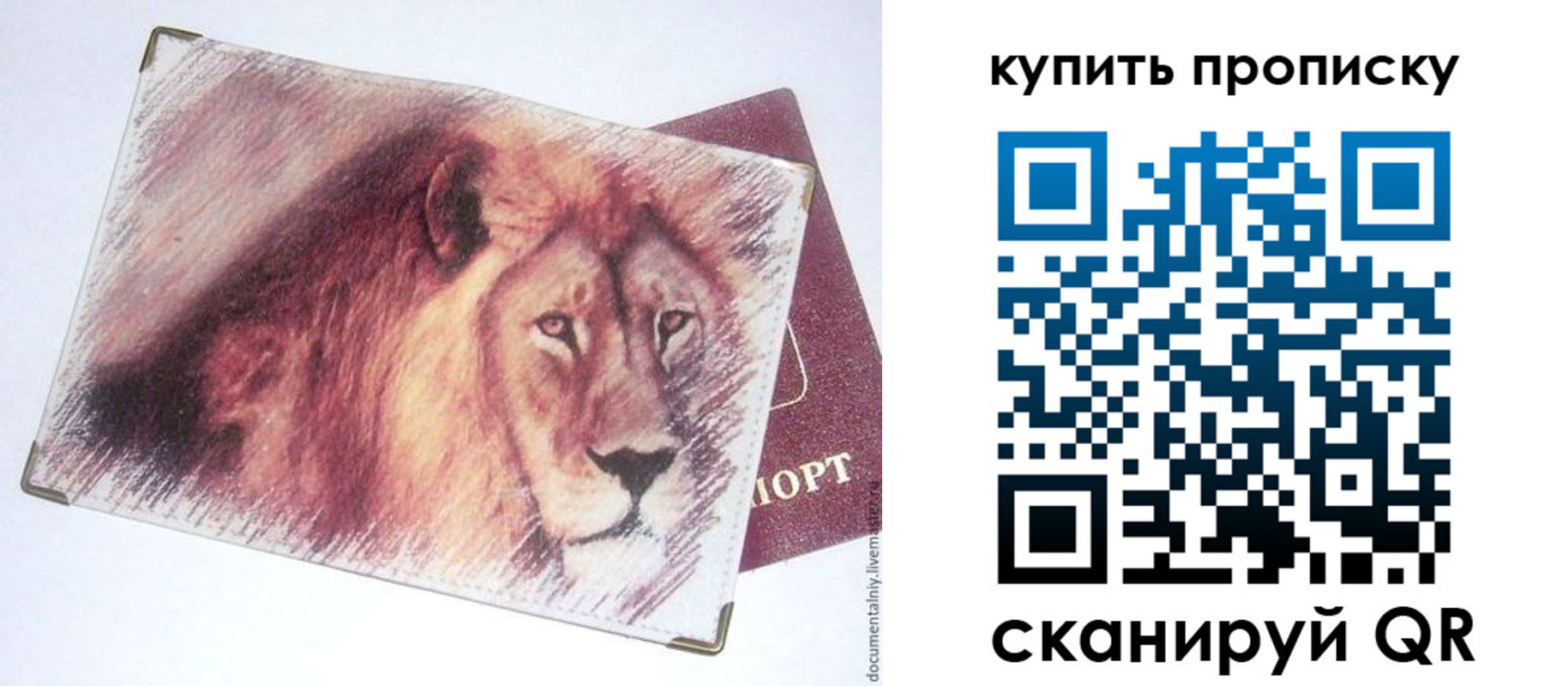 прописка паспорт в Забайкальском крае